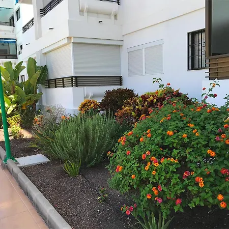 Iguazu Seaview Near Yumbo Daire Playa del Ingles (Gran Canaria)